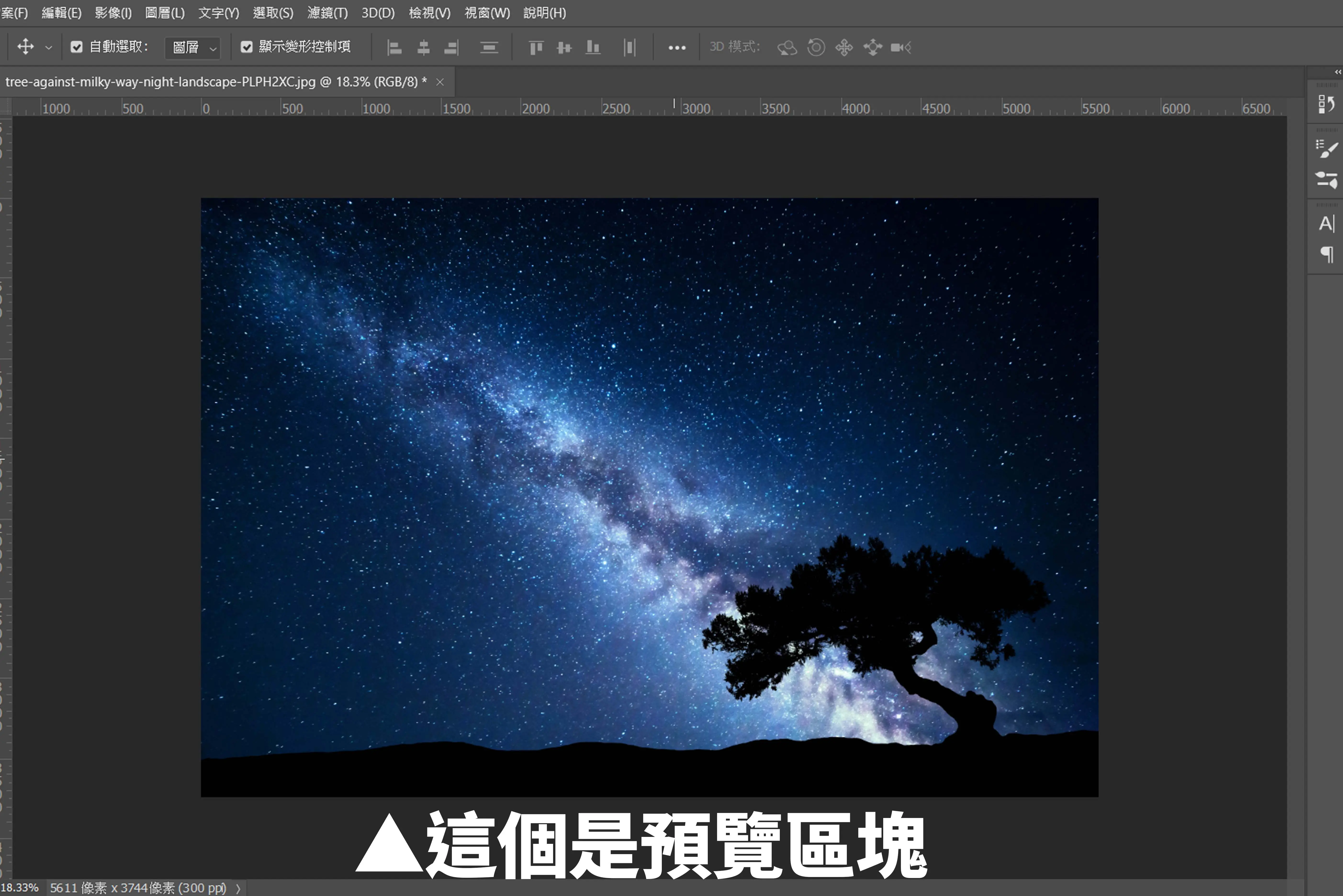 預覽區塊