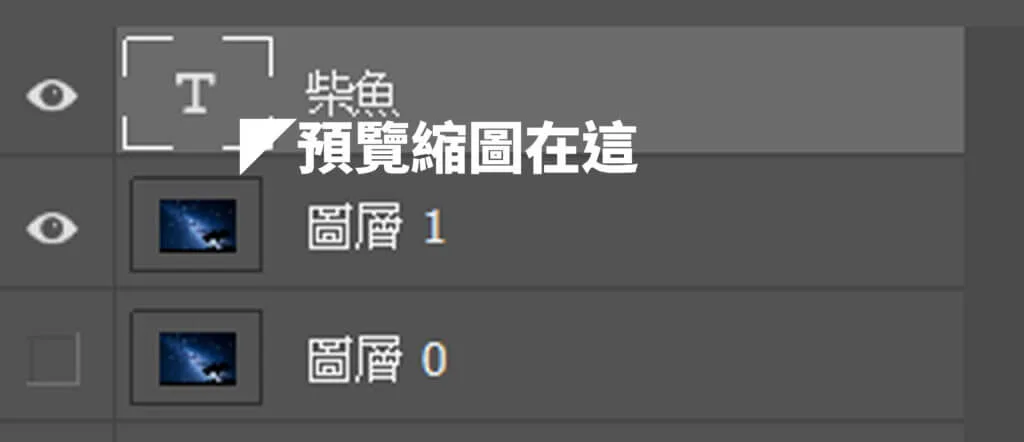 預覽縮圖