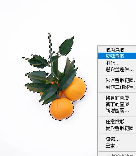 反轉選取