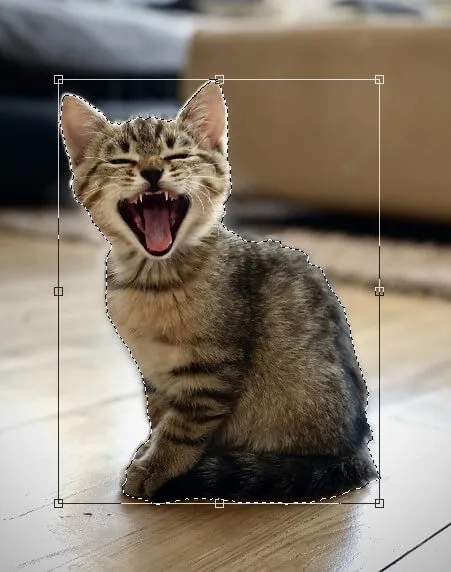 選取主體