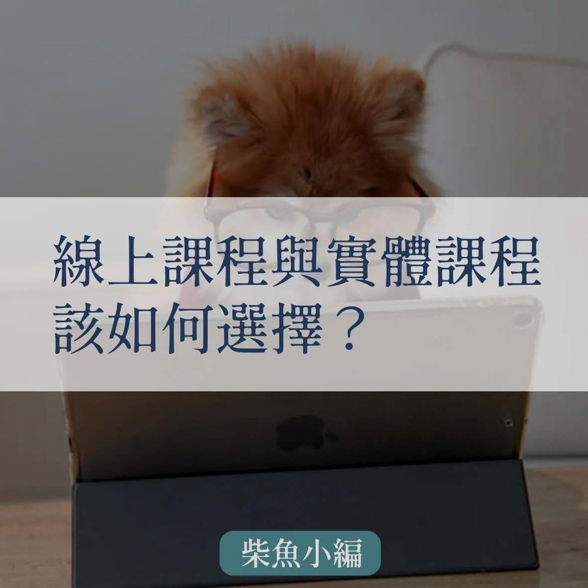 線上課程與實體課程該如何選擇？附學米優惠資訊